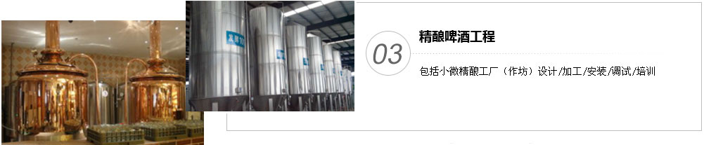 包括小微精酿工厂（作坊）设计/加工/安装/调试/培训